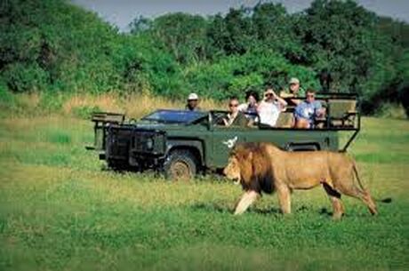 Güney Afrika | 7 Gece | İstanbul Çıkış | THY