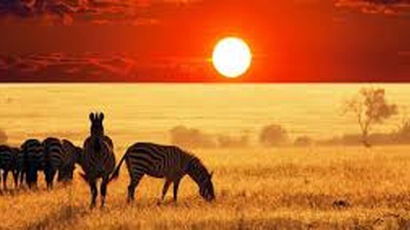 Güney Afrika | 7 Gece | İstanbul Çıkış | THY