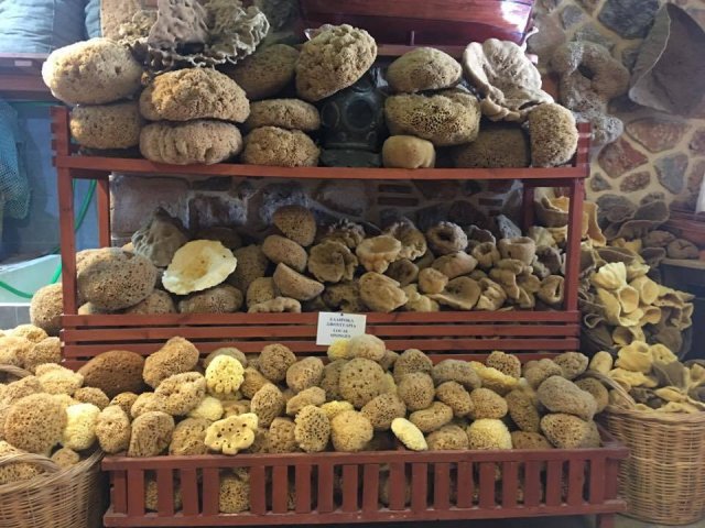 Kos – Kalymnos – Pserimos - Plati Turu 2026