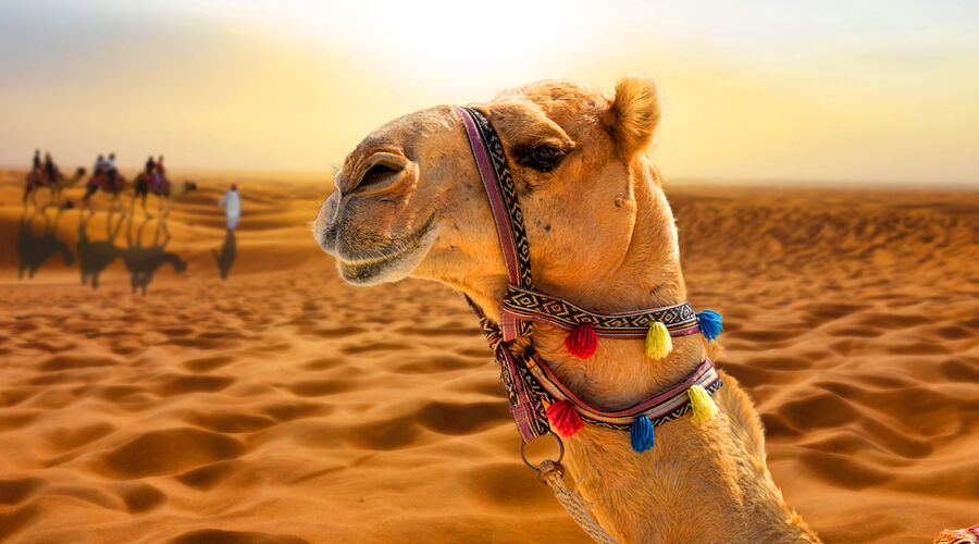 Dubaı  Abu Dhabı Turu (4 Gece Konaklamalı) 2026