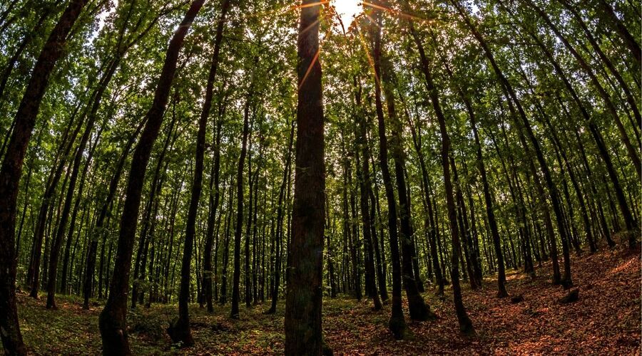 Trakya-Edirne-İğneada  Turu (2 Gece Konaklama) 2026