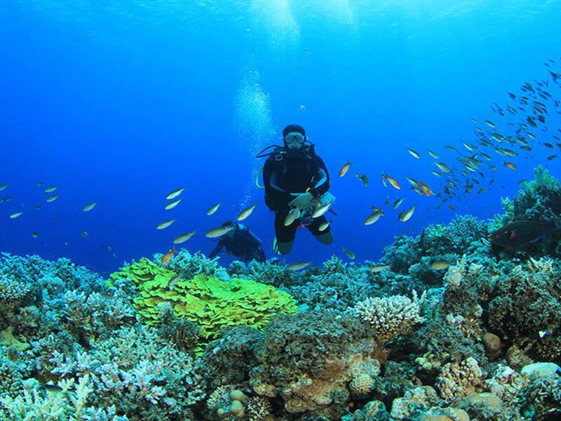 Sharm Kahire ve İskenderiye Masalı (6 Gece - 7 Gün) 18 Nisan