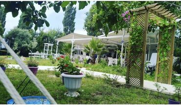 Adasu Otel