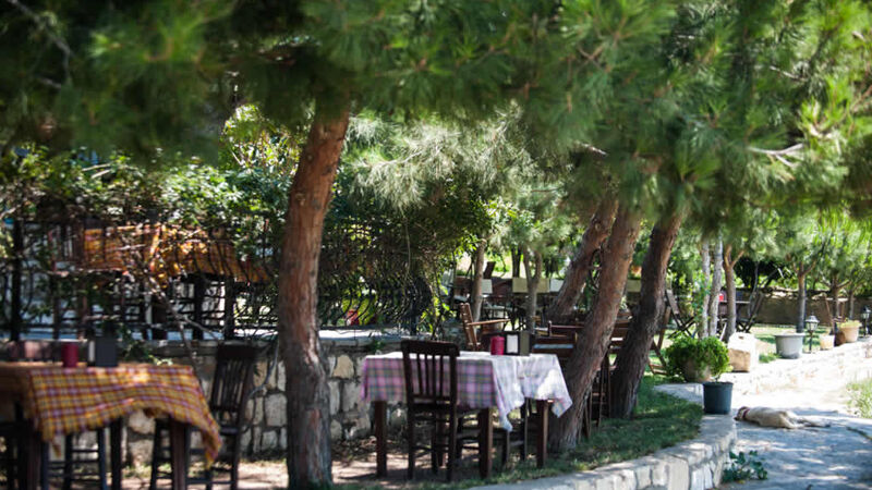 Aral Tatil Çiftliği