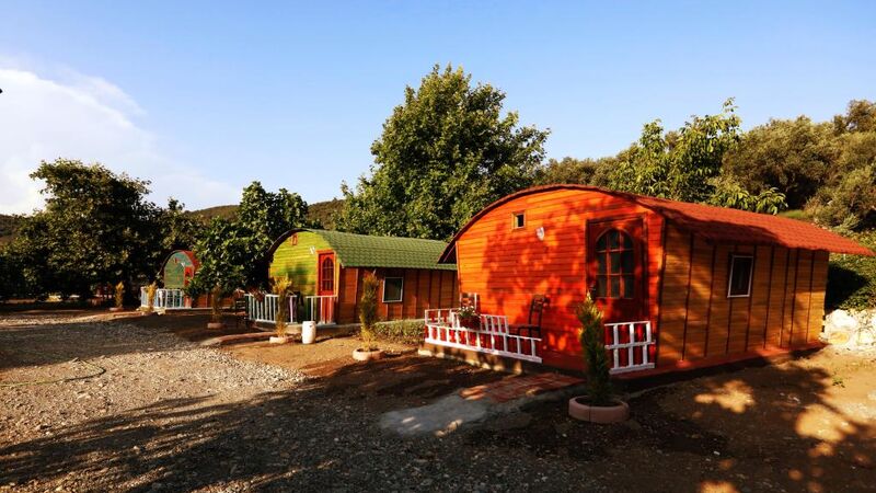 Kazdağı Kamp Zeytinli