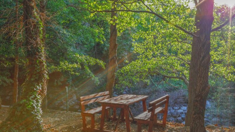 Kazdağı Kamp Zeytinli