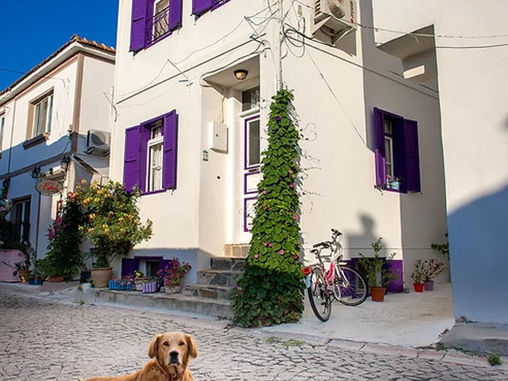 Amaranda Ada Evi