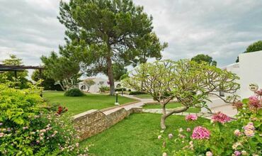 The Olive Tree Hotel
