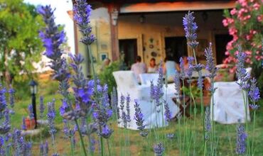 Bağbadem Tatil Çiftliği