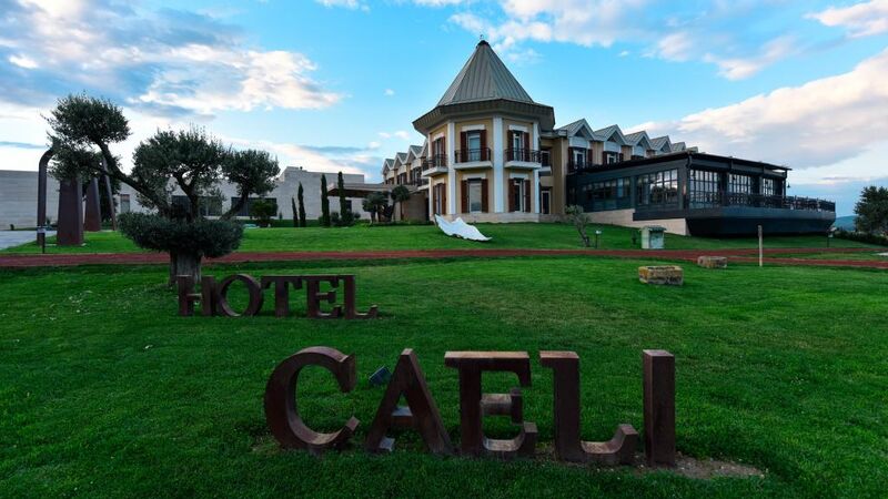 Hotel Caeli & Caeli Winery