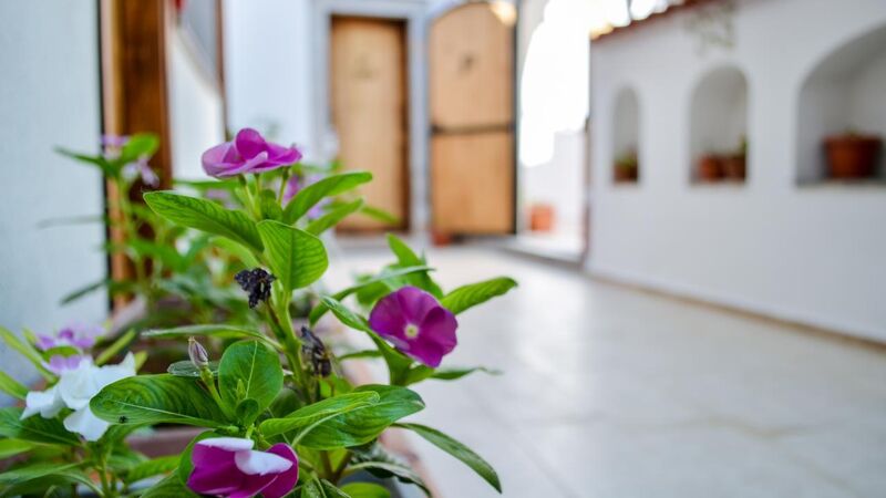 Petra Butik Otel