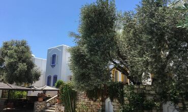 Omar Hotel