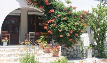 Ada Art Misafir Evi