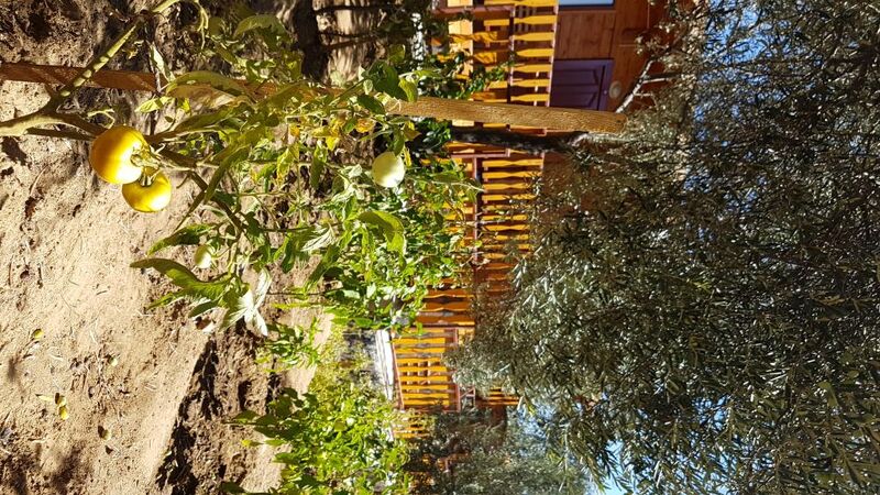 Albatros Dağ Evleri Butik Otel