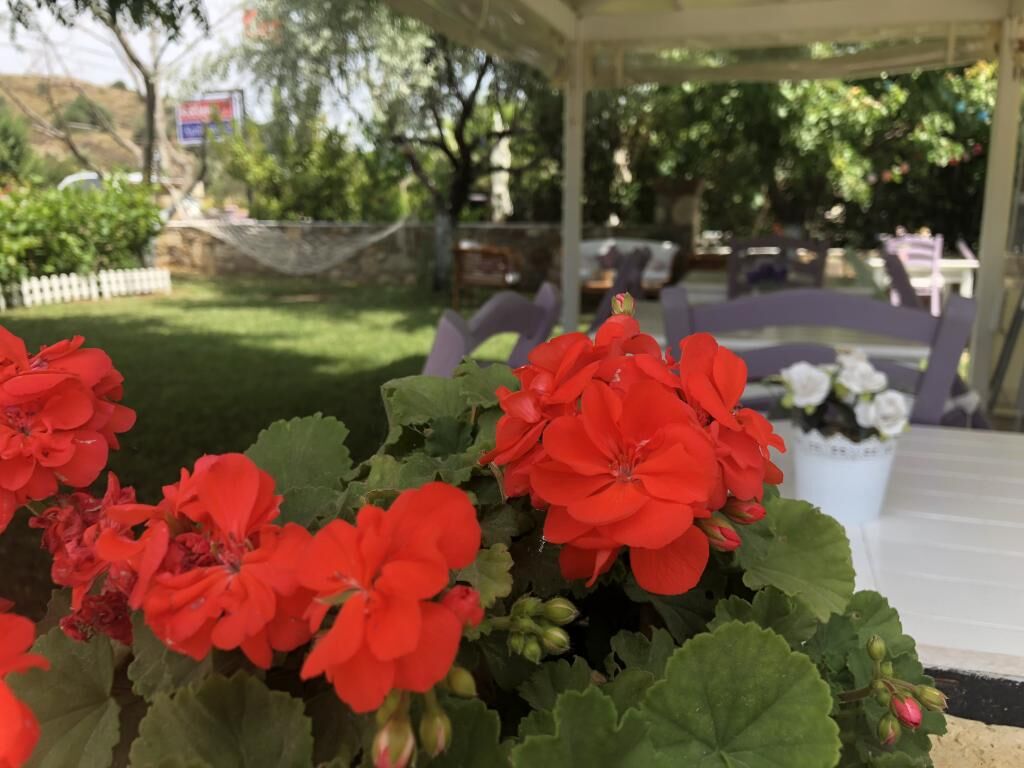 Kırlı Otel
