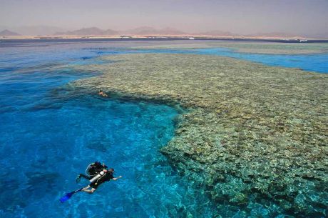Promosyon Sharm El Sheikh Turu Ajet Havayolları ile 5 Gece Transfer Saatine Kadar Otel Kullanımlı