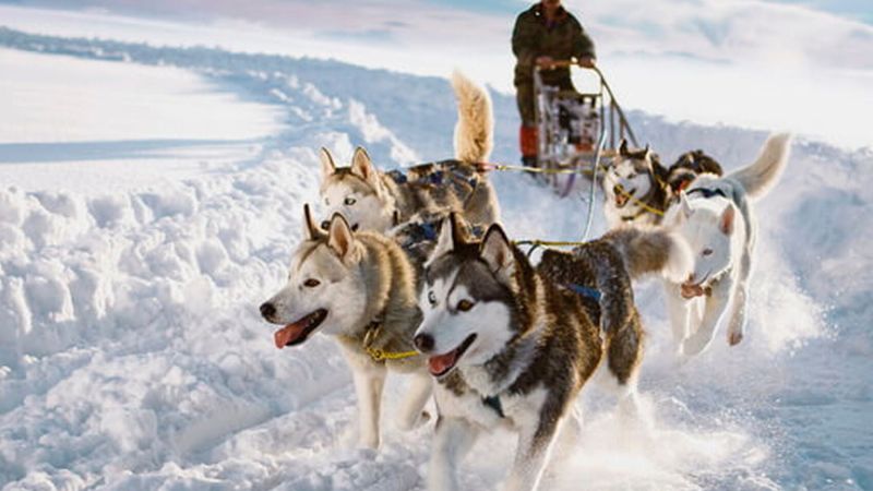 Süper Promo Lapland Turu Beyaz Rotalar (4 Gece - Park Hotel)