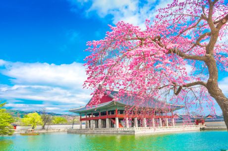 MEGA JAPONYA & GÜNEY KORE TURU TÜRK HAVA YOLLARI İLE 10 GECE