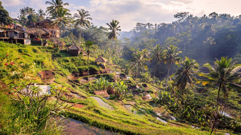BALİ TURU TÜRK HAVA YOLLARI İLE 5 GECE 5 GECE Konaklama
