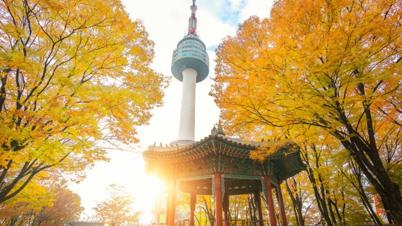Gold Doğu Asya’nın Güneşi “Japonya” (HND-HND) ANA ile 6 gece Osaka (3) - Tokyo (3)