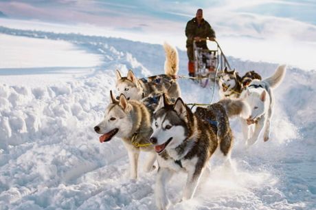 Süper Promo Lapland Turu Beyaz Rotalar V2
