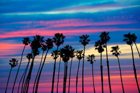 Fırsat Los Angeles & Las Vegas & San Francisco Turu