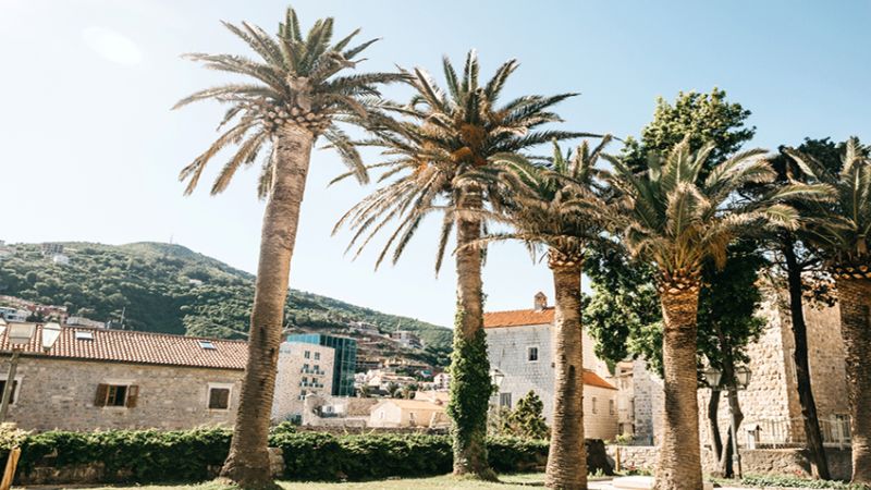 Budva Rotası Turu V2