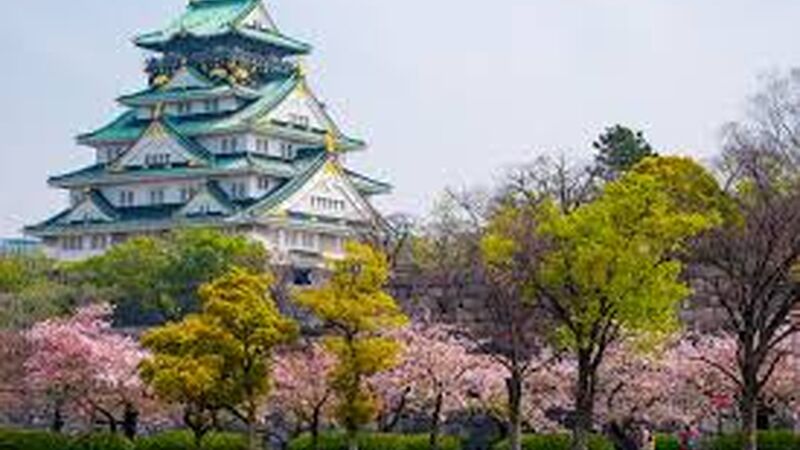 Japonya Turu Singapur Havayolları ile 8 Gece 11 Gün DD001