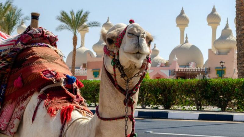 Promosyon Sharm El Sheikh Turu Ajet Havayolları ile 4 Gece Otelden Geç Çıkışlı