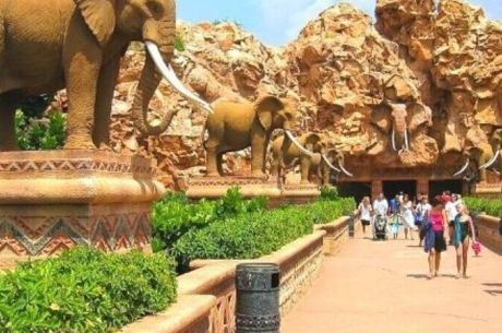 Büyük Afrika 4 Ülke Turu Türk Havayolları İle 11 Gece 12 Gün EJ001 