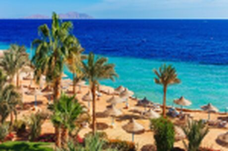 Sharm El Sheikh Turu 29 Ekim Özel Türk Havayolları İle 4 Gece 5 Gün