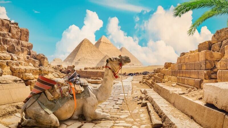 Sharm el Sheikh ve Kahire – İstanbul Hareket