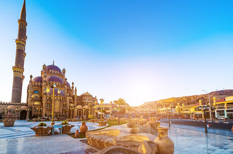Sharm el Sheikh ve Kahire – İstanbul Hareket