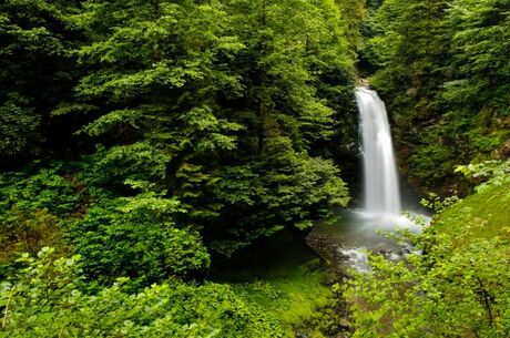 Bursa Çıkışlı Karadeniz Yaylalar ve Batum Turu | 4 Gece Otel Konaklamalı