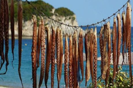 Halkidiki Paralia Thassos Adası Turu