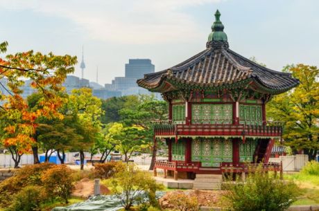 Dolu Dolu Sakura Dönemi Özel Japonya & Kore Turu Mistik Rotalar