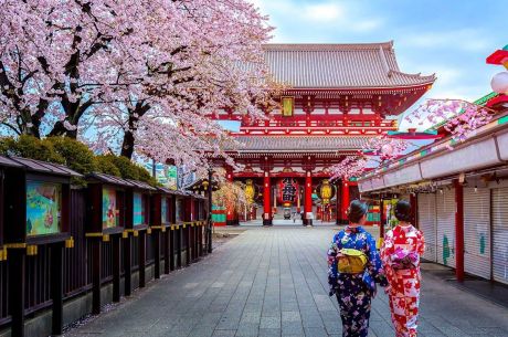 Görkemli Uzaklar  Hong Kong & Japonya 7 Gece - THY ile 26 Eylül (2026 Yaz Dönemi) (HKG-NRT)