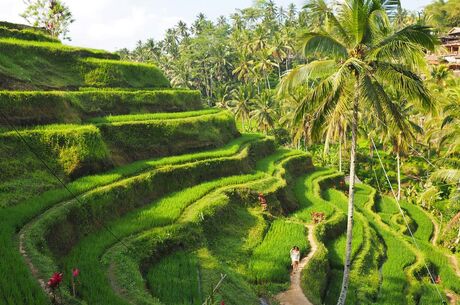 Harikalar Diyarı Bali - Ubud Turu Rotası 