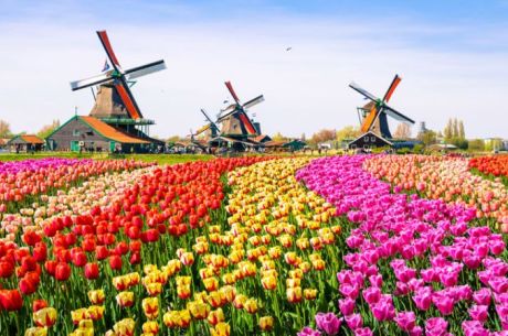 Avrupa'nın Kalbi Benelux & Paris Turu Ajet Havayolları İle 7 Gece 8 Gün Promosyon (FRA-RTM)