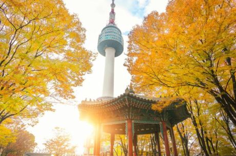 BÜYÜK JAPONYA TURU 2026 (HND-HND) OSAKA (2) & TOKYO (4)