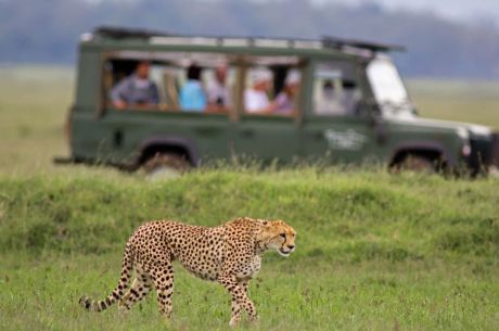 * VİZESİZ * - MUHTEŞEM GÜNEY AFRİKA - THY - 2026