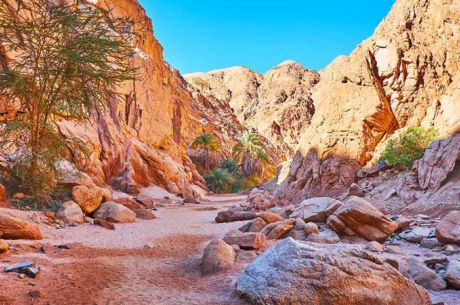 Promosyon Sharm El Sheikh Turu Ajet Havayolları  ile 6 Gece Transfer Saatine Kadar Otel Kullanımlı