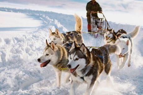 Süper Promo Lapland Turu Beyaz Rotalar (4 Gece - Mustaparta Hotel)