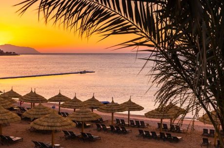 Royal Sharm El Sheıkh AJET Hava Yolları ile 3 Gece 5 Gün SAW-SSH
