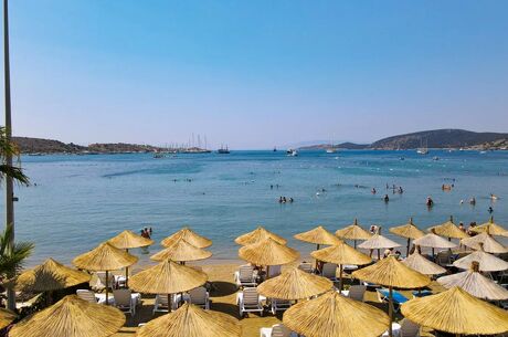 Leo Beach Resort +16 | 3 Gece Konaklamalı | İstanbul , İzmit, Bursa ve İzmir Hareketli