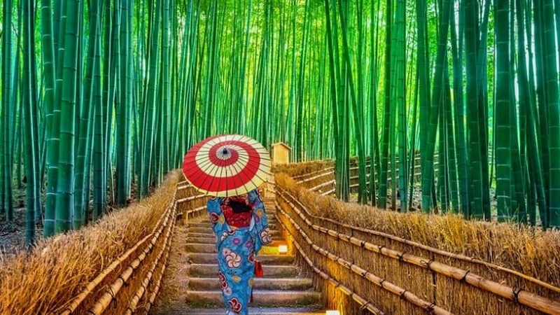 Japonya Kore Turu HND THY İle 10 Gece 12 Gün
