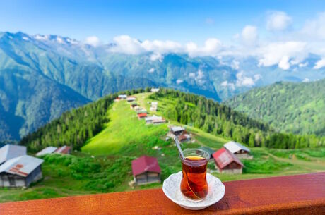Uçaklı Karadeniz Yaylalar ve Batum Turu İzmir Çıkışlı