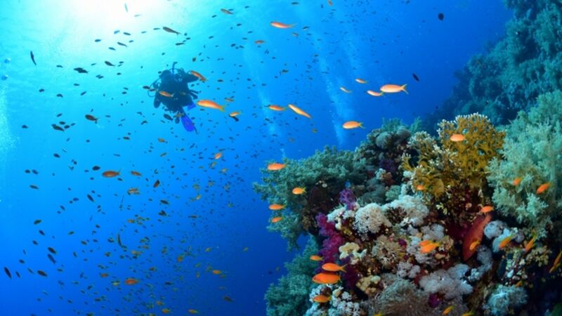 DİYARBAKIR’DAN SHARM & KAHİRE TURU Air Cairo Havayolları Özel Seferi ile 4 gece