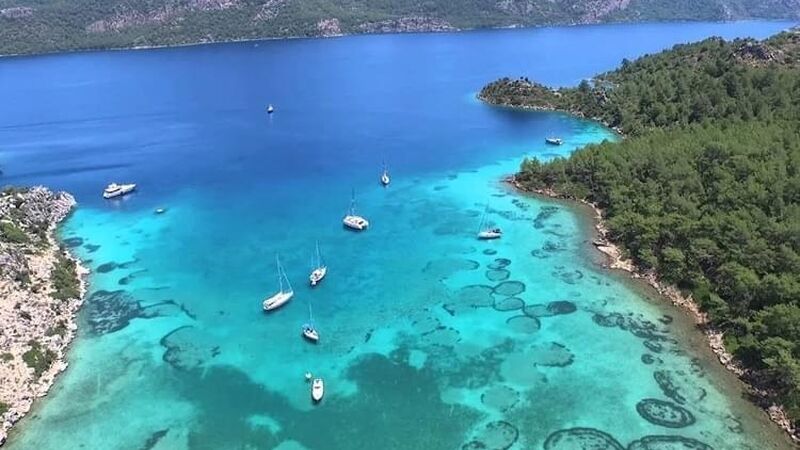 Bodrum Gökova Marmaris Datça Didim Turu 4 Gece Otel Konaklamalı  İstanbul Çıkışlı