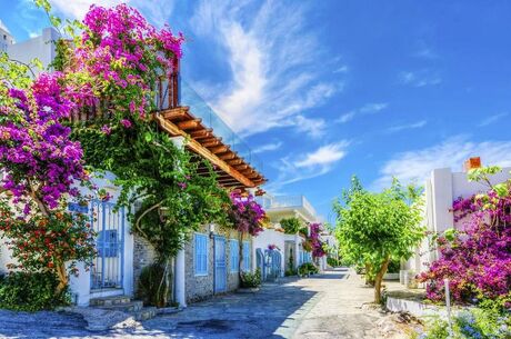 Bodrum Gökova Marmaris Datça Didim Turu 4 Gece Otel Konaklamalı  İstanbul Çıkışlı